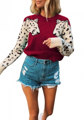 (Real Image)2022 Styles Women Sexy Spring&Winter TikTok&Instagram Styles Sweater Long Sleeve Tops